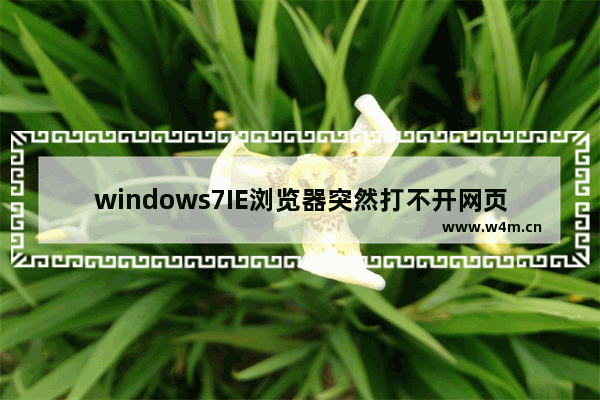 windows7IE浏览器突然打不开网页是什么原因？解决的办法介绍