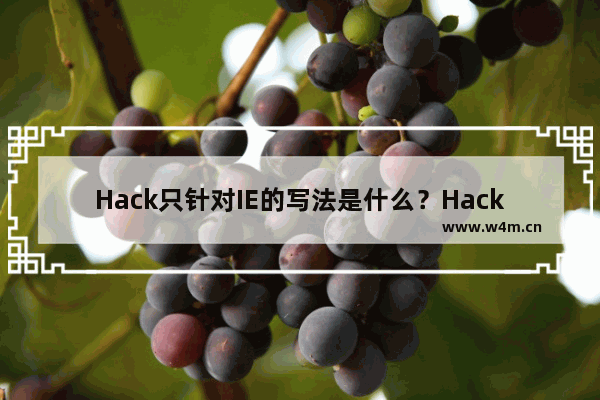 Hack只针对IE的写法是什么？Hack只针对IE的写法介绍