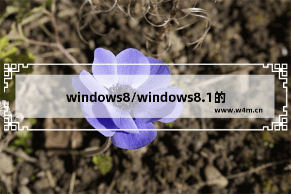 windows8/windows8.1的IE11闪退的多种解决方案介绍