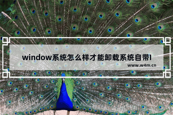 window系统怎么样才能卸载系统自带IE浏览器？