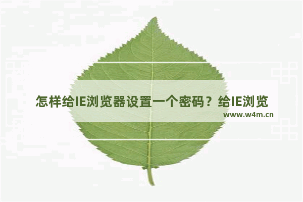 怎样给IE浏览器设置一个密码？给IE浏览器设置一个密码的详细图文步骤介绍