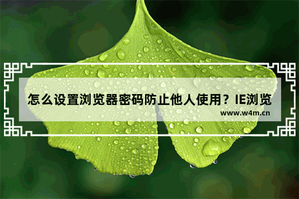 怎么设置浏览器密码防止他人使用？IE浏览器密码设置方法图解介绍