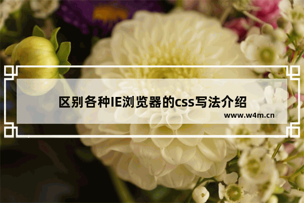 区别各种IE浏览器的css写法介绍