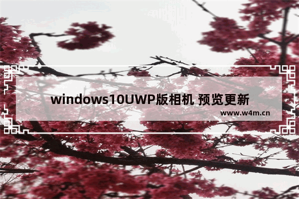 windows10UWP版相机 预览更新HDR拍照三连击