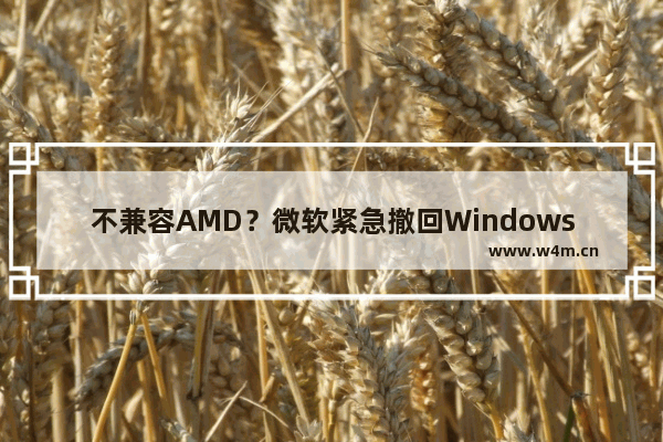 不兼容AMD？微软紧急撤回Windows10和Windows7的CPU补丁！