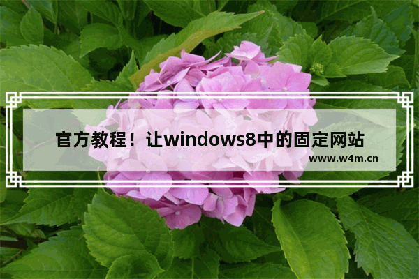 官方教程！让windows8中的固定网站具高品质视觉效果介绍