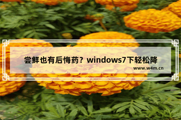 尝鲜也有后悔药？windows7下轻松降级IE11回归IE10