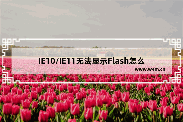 IE10/IE11无法显示Flash怎么办？windows8/windows8.1技巧介绍