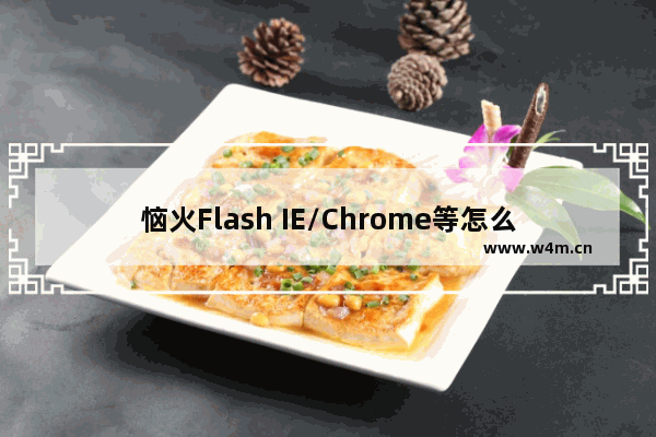 恼火Flash IE/Chrome等怎么设置点击播放？