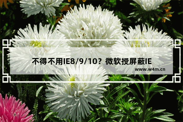 不得不用IE8/9/10？微软授屏蔽IE11更新提示方法