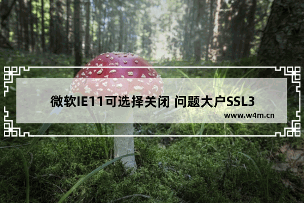 微软IE11可选择关闭 问题大户SSL3.0