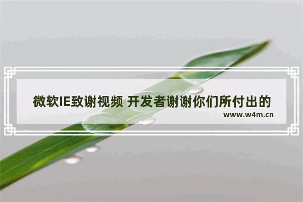 微软IE致谢视频 开发者谢谢你们所付出的一切