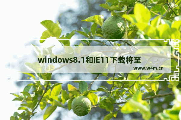 windows8.1和IE11下载将至 微软砸重金求安全漏洞