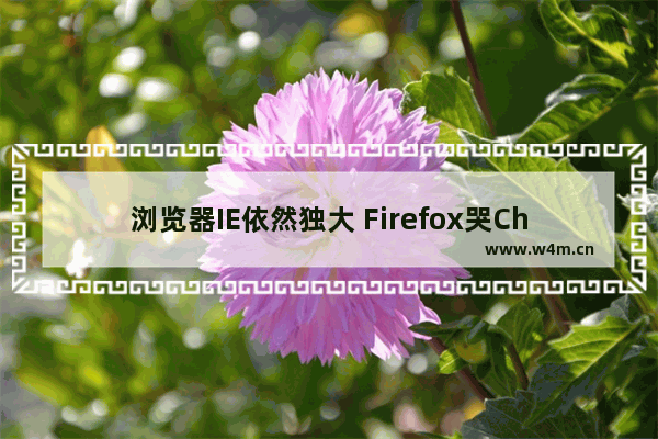 浏览器IE依然独大 Firefox哭Chrome笑