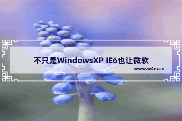 不只是WindowsXP IE6也让微软头大！