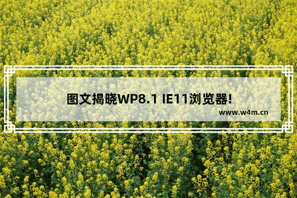 图文揭晓WP8.1 IE11浏览器!