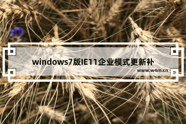 windows7版IE11企业模式更新补丁下载泄露