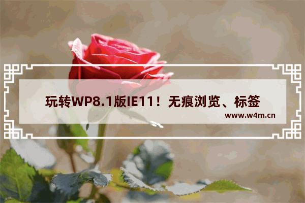 玩转WP8.1版IE11！无痕浏览、标签页同步了