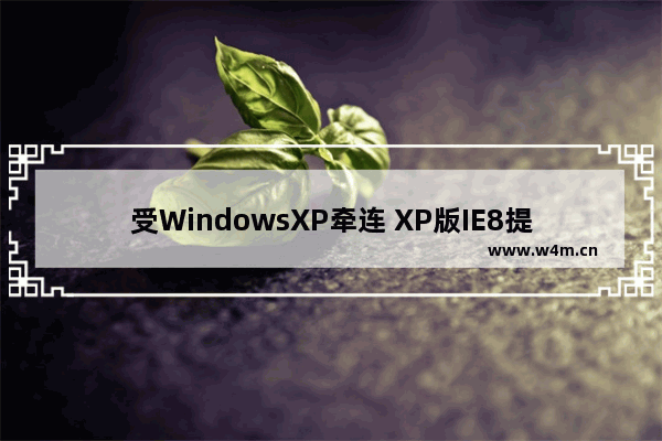 受WindowsXP牵连 XP版IE8提前停止服务