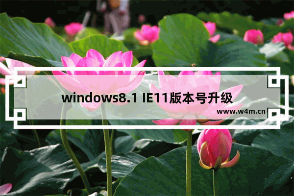 windows8.1 IE11版本号升级 启动速度又要提升了？