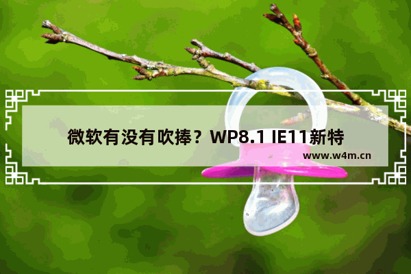 微软有没有吹捧？WP8.1 IE11新特性说明