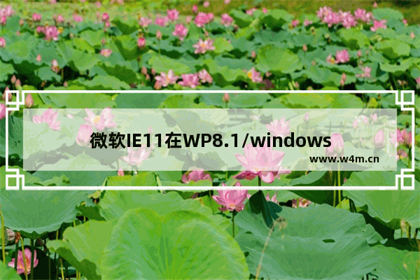 微软IE11在WP8.1/windows8.1中同步密码是什么？