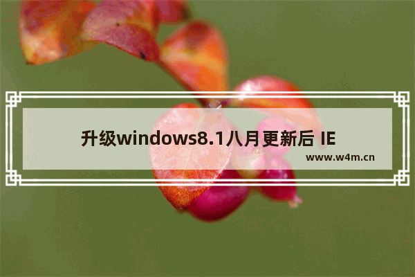 升级windows8.1八月更新后 IE11再一次进化？