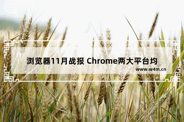 浏览器11月战报 Chrome两大平台均回落