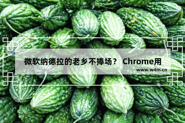 微软纳德拉的老乡不捧场？ Chrome用户远超IE浏览器