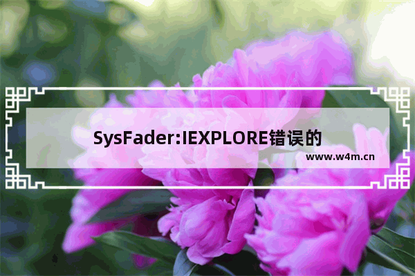 SysFader:IEXPLORE错误的解决技巧有些什么？SysFader:IEXPLORE错误的解决技巧介绍