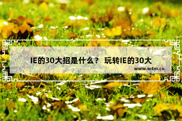 IE的30大招是什么？ 玩转IE的30大招介绍