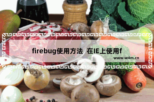 firebug使用方法  在IE上使用firebug的技巧图文介绍