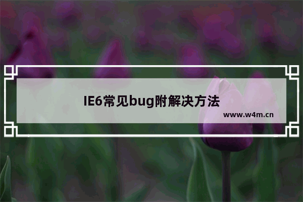 IE6常见bug附解决方法