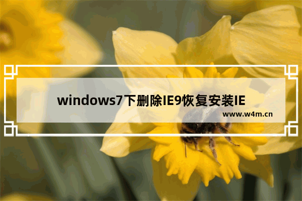 windows7下删除IE9恢复安装IE8浏览器的两种方法