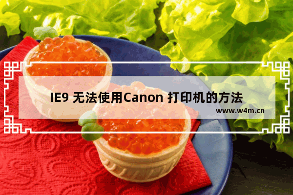 IE9 无法使用Canon 打印机的方法