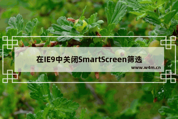 在IE9中关闭SmartScreen筛选器的图文方法