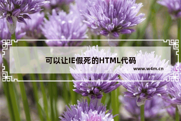 可以让IE假死的HTML代码