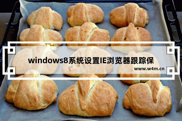 windows8系统设置IE浏览器跟踪保护列表的方法