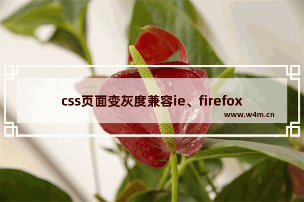 css页面变灰度兼容ie、firefox、chrome、opera、safari实现样式