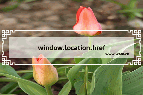 window.location.href IE下跳转失效的解决方法