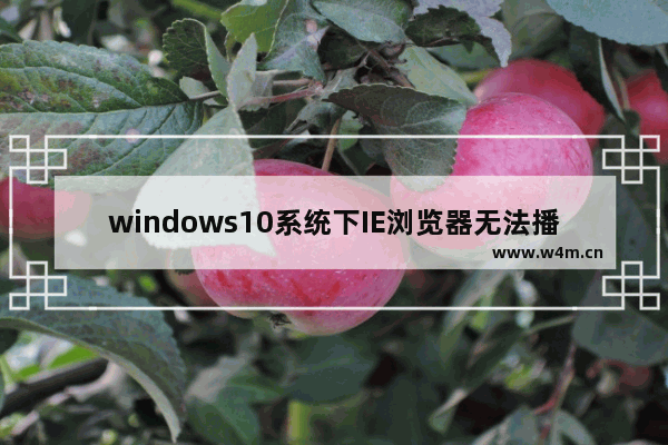 windows10系统下IE浏览器无法播放Falsh的故障原因及解决方法