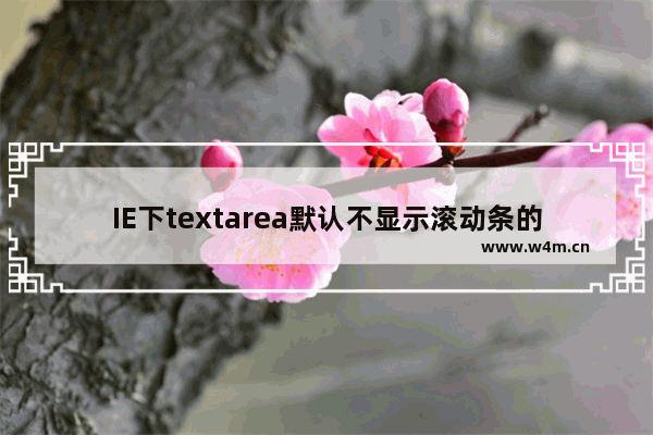 IE下textarea默认不显示滚动条的实现代码