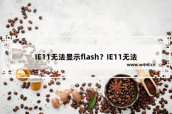 IE11无法显示flash？IE11无法播放视频的解决方法