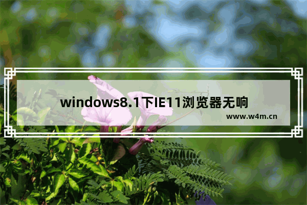 windows8.1下IE11浏览器无响应崩溃问题的解决方法