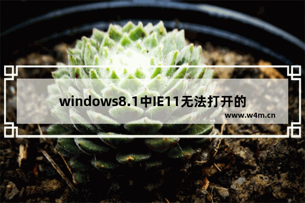 windows8.1中IE11无法打开的解决方法无需还原系统