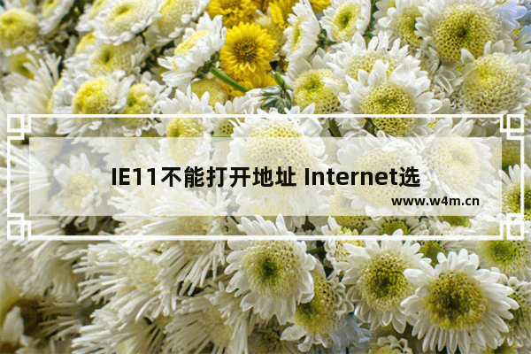 IE11不能打开地址 Internet选项始终是灰色的解决办法