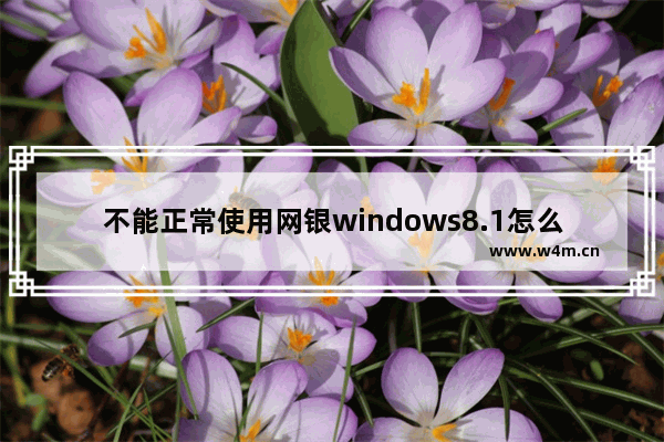 不能正常使用网银windows8.1怎么启用或禁用IE11保护模式