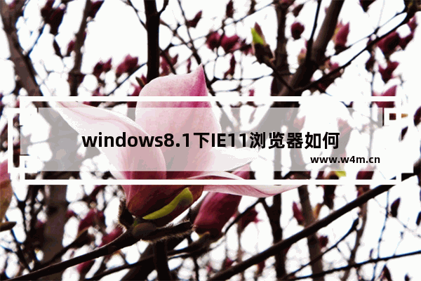 windows8.1下IE11浏览器如何添加网址收藏常用的网站