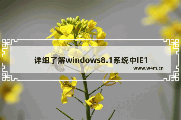 详细了解windows8.1系统中IE11的触控体验