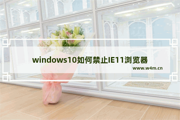 windows10如何禁止IE11浏览器自动更新安装新版本